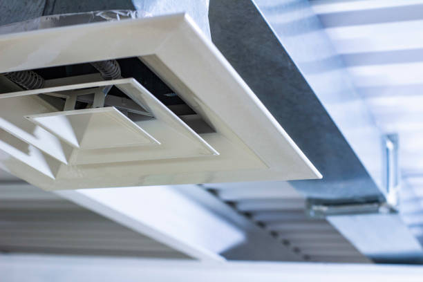 Best Professional Duct Cleaning Services  in Azalea Park, FL